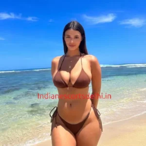 Celebrity Escort in Delhi, 5 star hotel near Aerocity - Nelia (3)